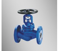 GLOBE VALVE